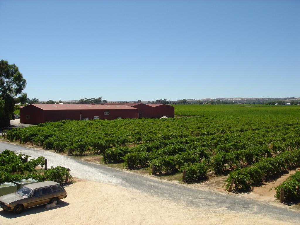 Kaesler Cottages Nuriootpa Exterior photo